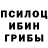 Псилоцибиновые грибы прущие грибы Witek Bars