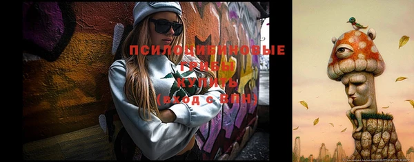 дмт Алапаевск