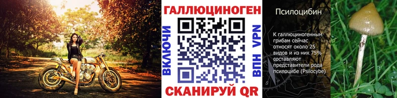 Псилоцибиновые грибы мицелий  Сусуман 